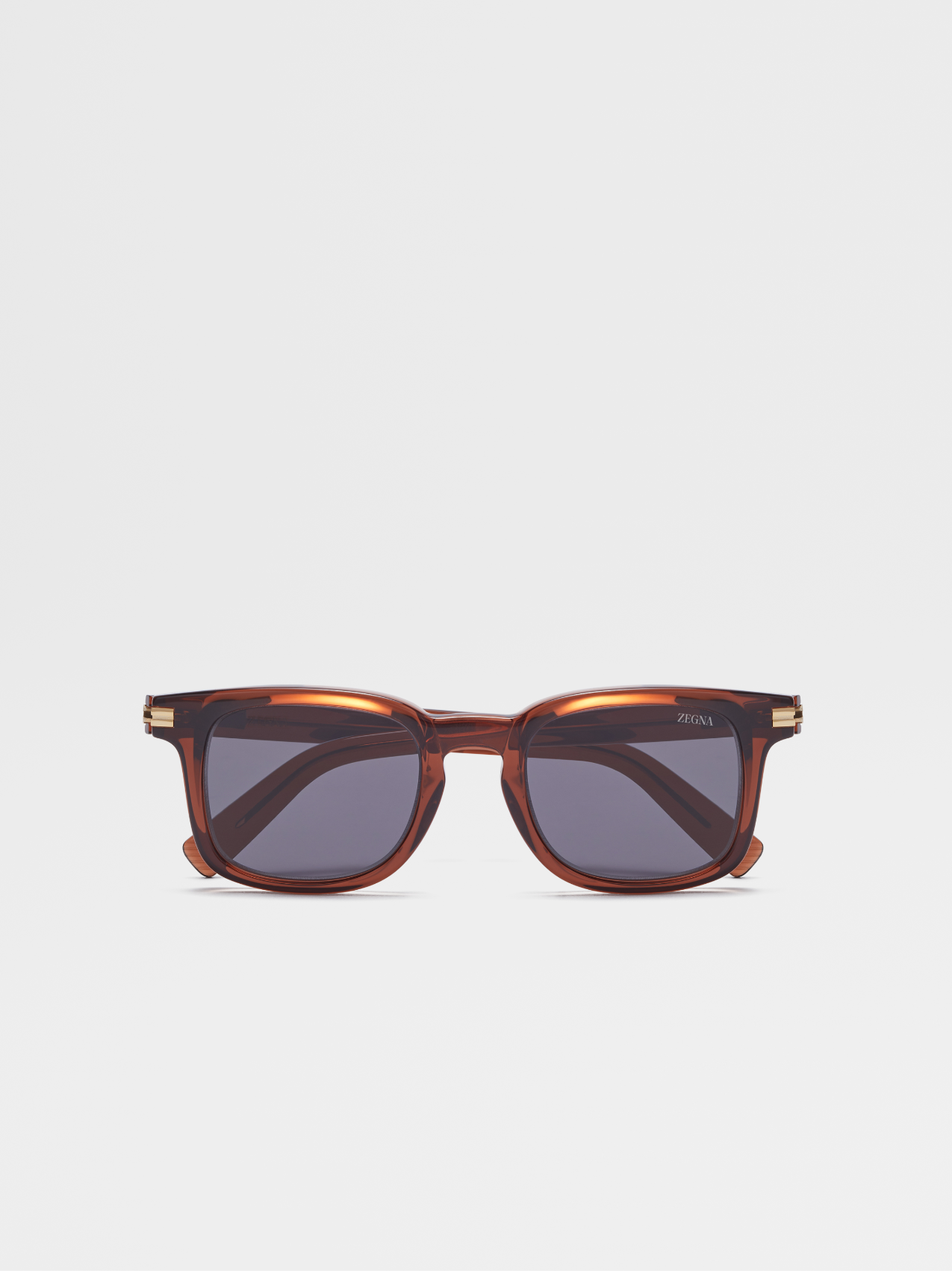 Transparent Brown Acetate Sunglasses